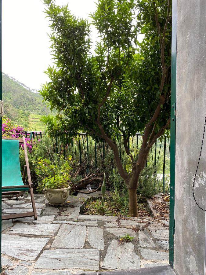 לבנטו Cottage La Terrazza מראה חיצוני תמונה
