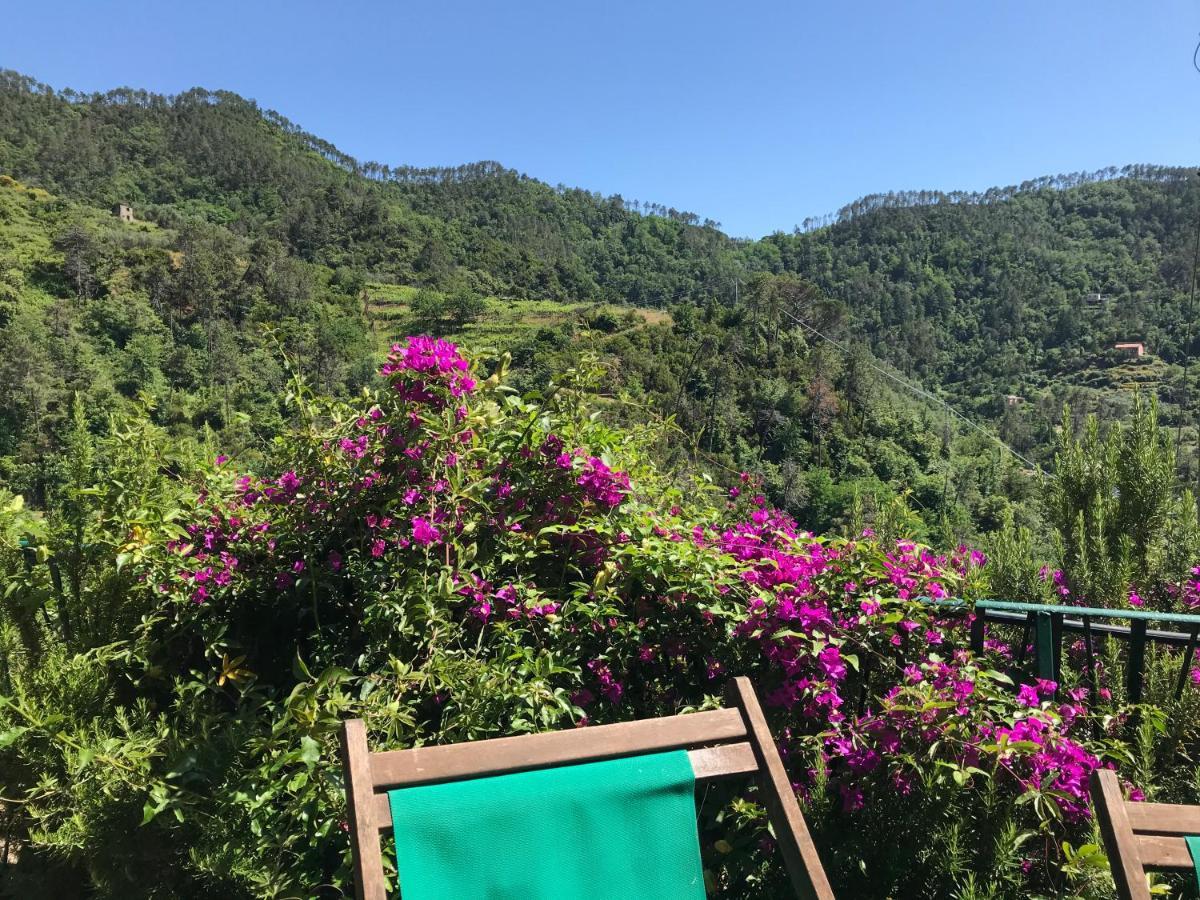 לבנטו Cottage La Terrazza מראה חיצוני תמונה